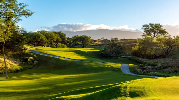 ハプナ ビーチ プリンス ホテル ハワイ 施設