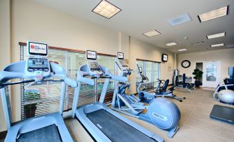 a well - equipped fitness center with various exercise equipment , including treadmills and weight machines , near large windows at Hilton Garden Inn Laramie