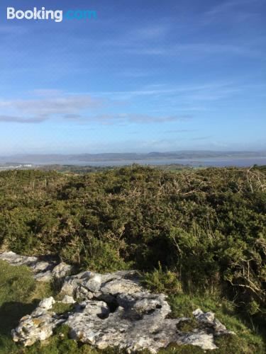 两卧室联排别墅