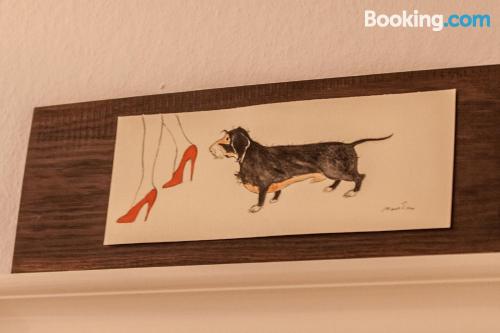 公寓 - 地面楼层