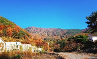 Changnyeong Star Forest Glamping Pension