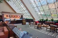 Hilton Bellevue