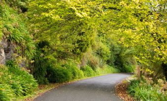 Waitomo Caves Hotel