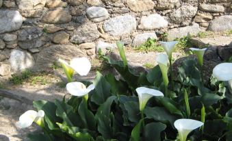 Logis Hotel Restaurant le Bellevue - Housity