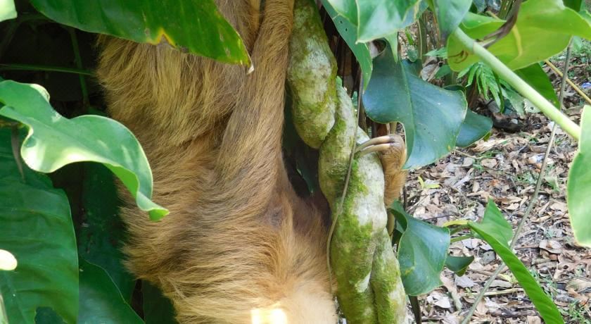 享有花园景致的公寓