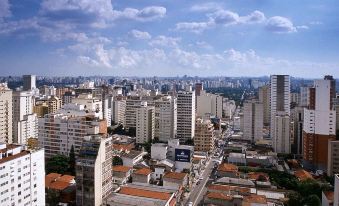 Pullman Sao Paulo Ibirapuera