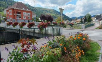 Quaint Chalet in La Bresse with Garden