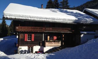Chalet Cergnat Bed and Breakfast - Housity