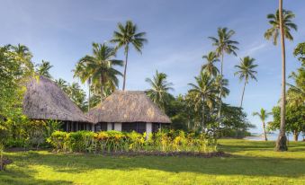a group of thatched - roof huts surrounded by lush green grass and palm trees under a clear blue sky at Jean-Michel Cousteau Resort Fiji