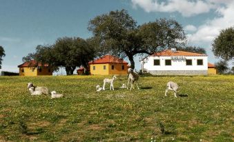 Albergue Turistico Cornalvo