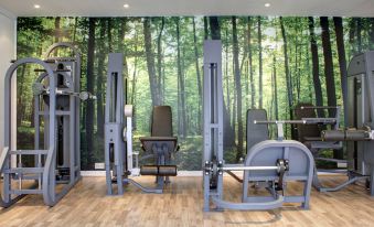 a gym with exercise equipment , including treadmills and weight machines , in front of a large forest - themed wall mural at Park Plaza Leeds