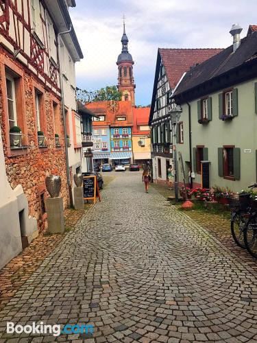 Blackforest Home Gengenbach Nahe Europapark RustTwo-Bedroom Apartment