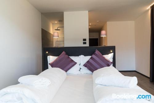 园景豪华双人或双床间