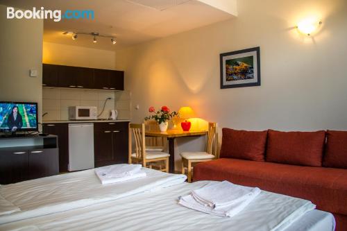 带天井的一室公寓