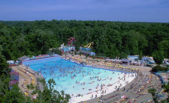 a large outdoor pool filled with many people enjoying their time in the water and on the sandy shores at Hilton Garden Inn Philadelphia/Ft. Washington