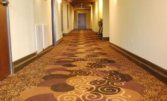 a long , carpeted hallway with multiple doors on both sides , giving it a clean and inviting appearance at Scholar Morgantown, Tapestry Collection by Hilton