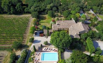aerial view of a large villa with a pool surrounded by vineyards , trees , and a vineyard in the background at Le Clos Saint Saourde