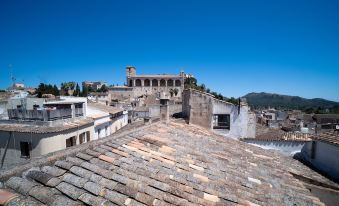 From the rooftop, there is a view of the old part of town with its rooftops and buildings at Petit Hotel Forn NOU