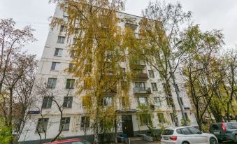 Apartment on Volkov Pereulok