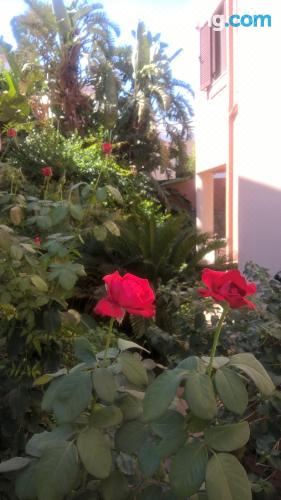 公寓 - 地面楼层