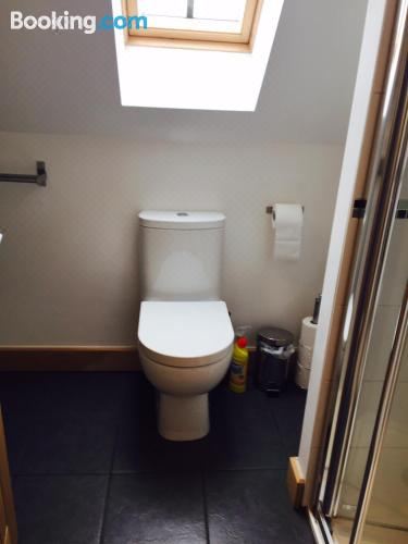 单卧室一室公寓套房