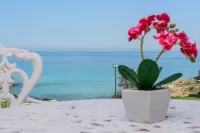貝拉里瓦休閑家庭旅館