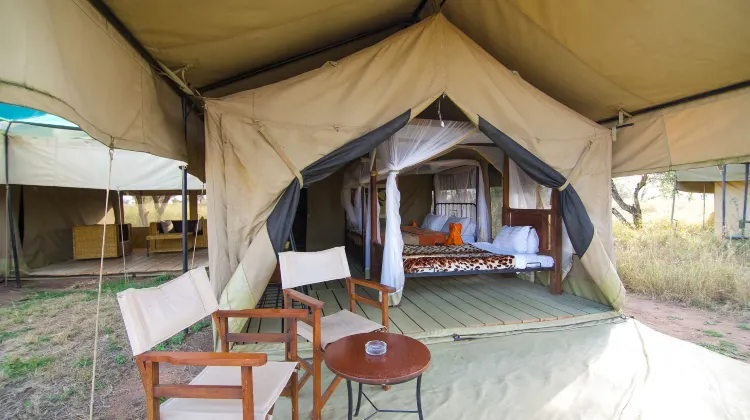 Angata Serengeti 外観