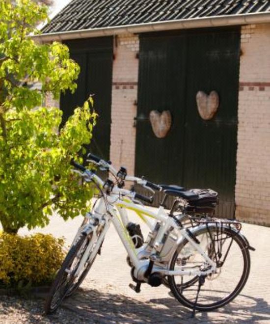 带浴室的双床房