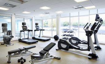 a well - equipped gym with various exercise equipment , including treadmills and weight machines , near large windows that offer views of the outdoors at SpringHill Suites Columbus OSU
