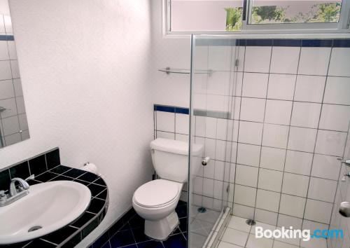 豪华特大床房（园景）