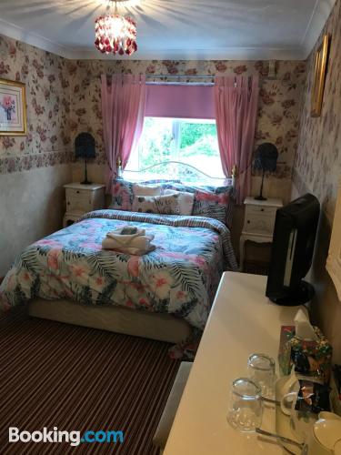 Redwood Lodge 双人房