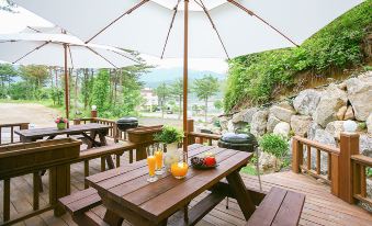 Gapyeong Club Island Pension