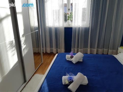 公寓 - 地面楼层