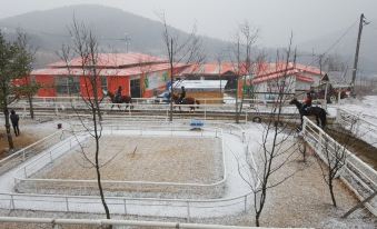 Pocheon Horse Kingdom Glamping