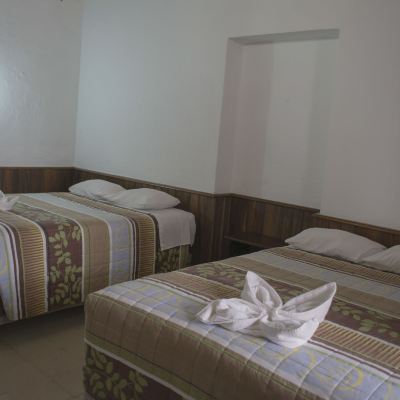 Standard Double Room with Two Double Beds
