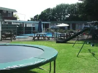 Flamingo Motel Hotels in 