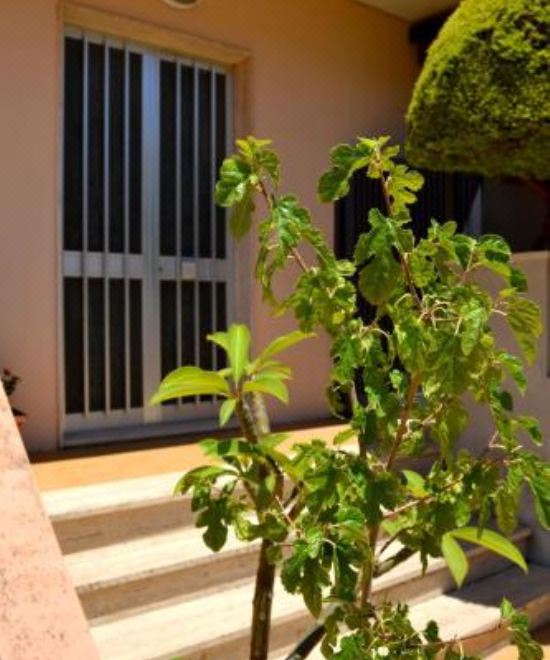 公寓 - 地面楼层