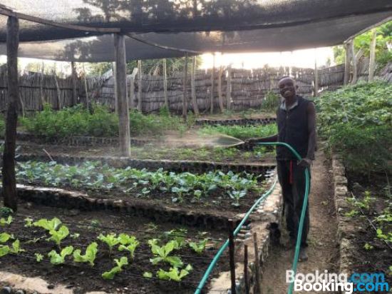 享有花园景致的公寓