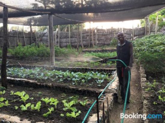 享有花园景致的公寓