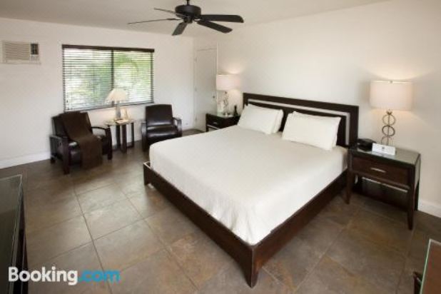 享有游泳池景致的一室公寓