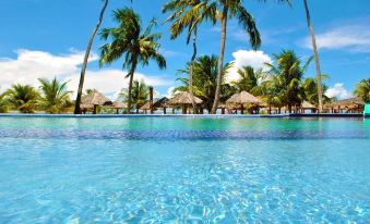 a tropical beach scene with palm trees , umbrellas , and a swimming pool under a clear blue sky at Pousada Praia Dos Carneiros