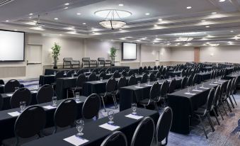a conference room with rows of chairs and tables , a projector screen at the front , and large windows at Delta Hotels Muskegon Convention Center