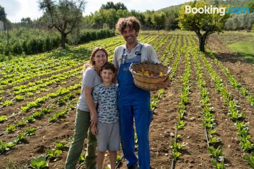 享有花园景致的公寓