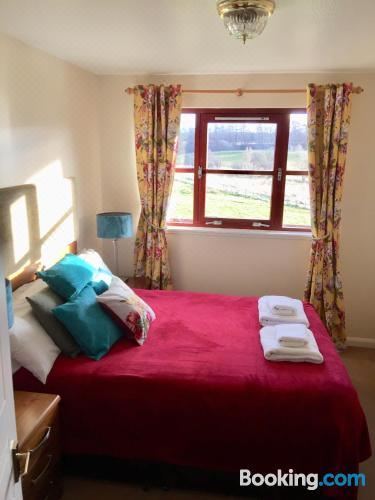 一卧室平房-宠物友好