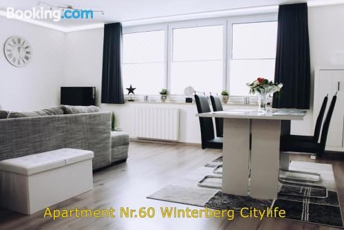 Citylife Winterberg Ferienwohnung Pool Sauna 5 Pers Near Ski Lift Wifi PS4 Deluxe Apartment