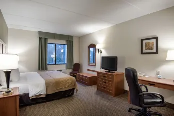 Comfort Inn & Suites - LaVale - Cumberland