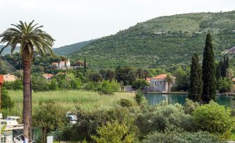 Apartments Villa Roza