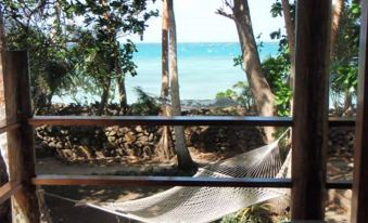 a hammock is seen in a tropical setting with trees and the ocean in the background at Safari Lodge