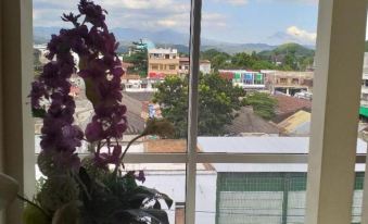 a view of a city from a window with purple flowers in the foreground , and buildings and trees visible in the distance at Hotel Marina Bima