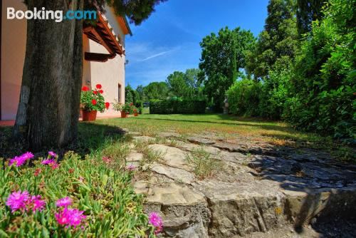 别墅（带独立泳池）